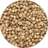 HEMP HEARTS